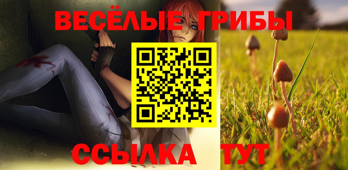 Псилоцибиновые грибы GOLDEN TEACHER  Вход с VPN  наркотики  Видное 