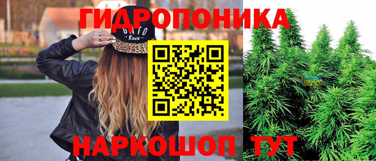МАРИХУАНА сатива Видное
